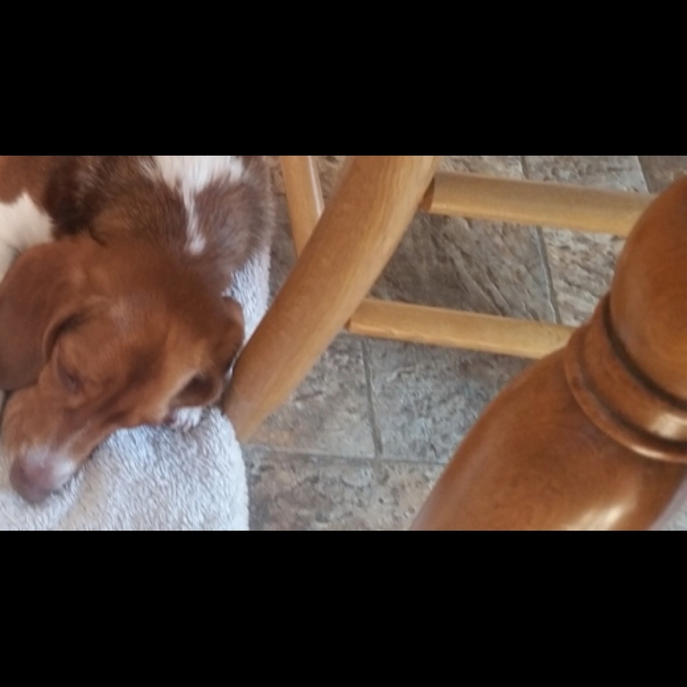 Meet your Posher, Janice